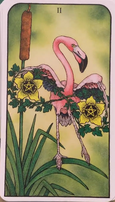 Nature Spirit Tarot
